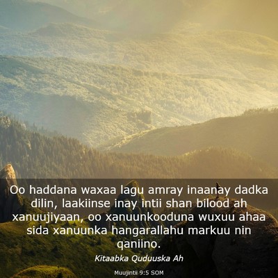 Picture 03 - Muujintii 9:5 SOM - Oo haddana waxaa lagu amray inaanay dadka dilin, - Bible Verse Picture