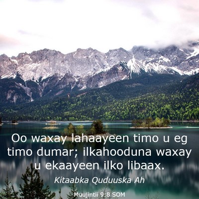 Picture 03 - Muujintii 9:8 SOM - Oo waxay lahaayeen timo u eg timo dumar; - Bible Verse Picture