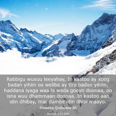 Picture 03 - Naxuum 1:12 SOM - Rabbigu wuxuu leeyahay, In kastoo ay xoog badan - Bible Verse Picture