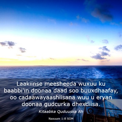 Picture 03 - Naxuum 1:8 SOM - Laakiinse meesheeda wuxuu ku baabbi'in doonaa - Bible Verse Picture