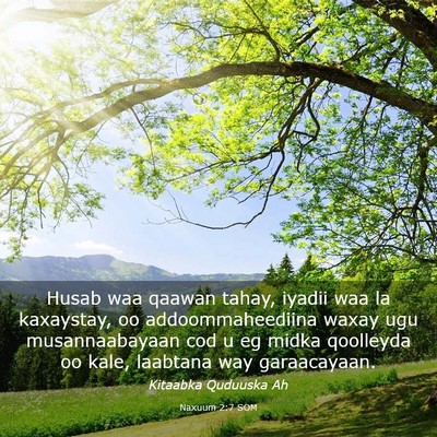Picture 03 - Naxuum 2:7 SOM - Husab waa qaawan tahay, iyadii waa la kaxaystay, - Bible Verse Picture