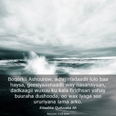 Picture 03 - Naxuum 3:18 SOM - Boqorkii Ashuurow, adhijirradaadii lulo baa - Bible Verse Picture