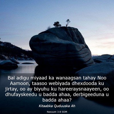Picture 03 - Naxuum 3:8 SOM - Bal adigu miyaad ka wanaagsan tahay Noo Aamoon, - Bible Verse Picture
