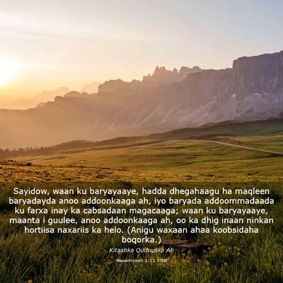 Picture 03 - Nexemyaah 1:11 SOM - Sayidow, waan ku baryayaaye, hadda dhegahaagu ha - Bible Verse Picture