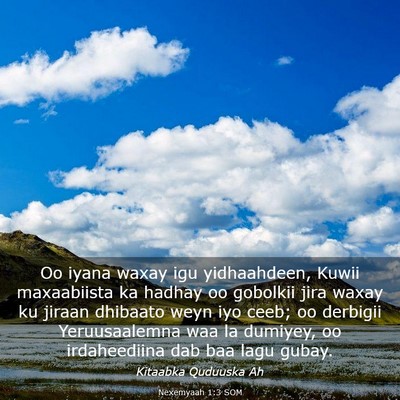 Picture 03 - Nexemyaah 1:3 SOM - Oo iyana waxay igu yidhaahdeen, Kuwii maxaabiista - Bible Verse Picture