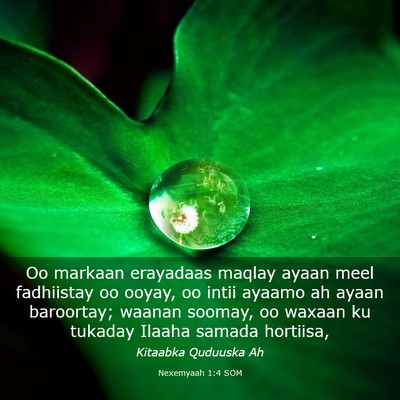 Picture 03 - Nexemyaah 1:4 SOM - Oo markaan erayadaas maqlay ayaan meel fadhiistay - Bible Verse Picture
