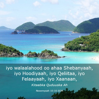 Picture 03 - Nexemyaah 10:10 SOM - iyo walaalahood oo ahaa Shebanyaah, iyo - Bible Verse Picture