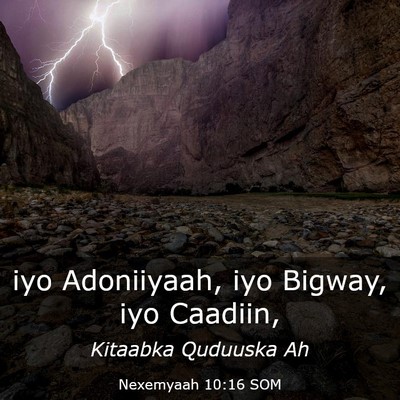 Picture 03 - Nexemyaah 10:16 SOM - iyo Adoniiyaah, iyo Bigway, iyo - Bible Verse Picture