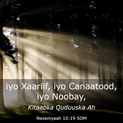 Picture 03 - Nexemyaah 10:19 SOM - iyo Xaariif, iyo Canaatood, iyo - Bible Verse Picture