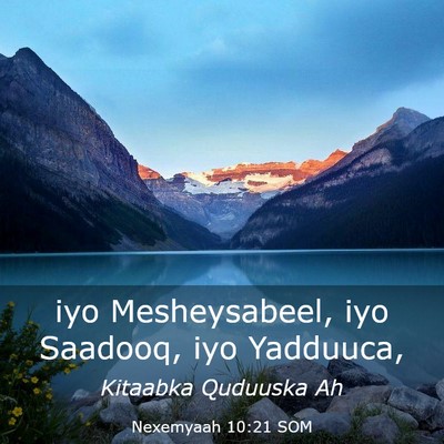 Picture 03 - Nexemyaah 10:21 SOM - iyo Mesheysabeel, iyo Saadooq, iyo - Bible Verse Picture