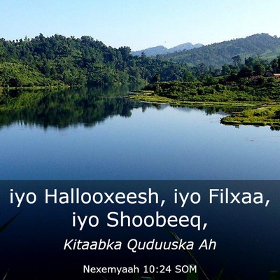 Picture 03 - Nexemyaah 10:24 SOM - iyo Hallooxeesh, iyo Filxaa, iyo - Bible Verse Picture