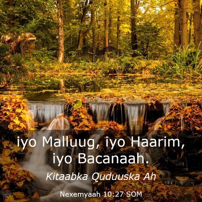 Picture 03 - Nexemyaah 10:27 SOM - iyo Malluug, iyo Haarim, iyo - Bible Verse Picture