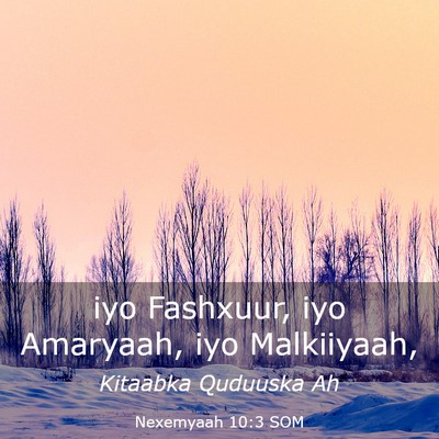 Picture 03 - Nexemyaah 10:3 SOM - iyo Fashxuur, iyo Amaryaah, iyo - Bible Verse Picture