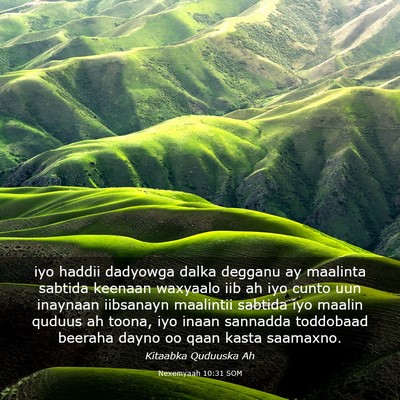 Picture 03 - Nexemyaah 10:31 SOM - iyo haddii dadyowga dalka degganu ay maalinta - Bible Verse Picture