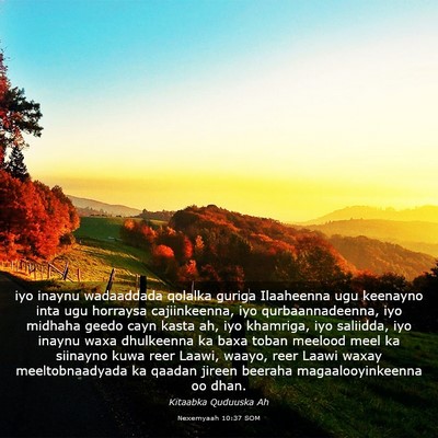 Picture 03 - Nexemyaah 10:37 SOM - iyo inaynu wadaaddada qolalka guriga Ilaaheenna - Bible Verse Picture