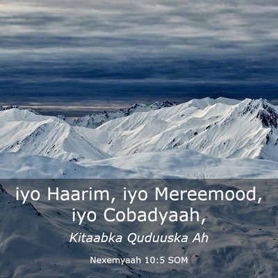 Picture 03 - Nexemyaah 10:5 SOM - iyo Haarim, iyo Mereemood, iyo - Bible Verse Picture