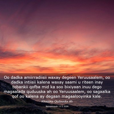 Picture 03 - Nexemyaah 11:1 SOM - Oo dadka amiirradiisii waxay degeen Yeruusaalem, - Bible Verse Picture