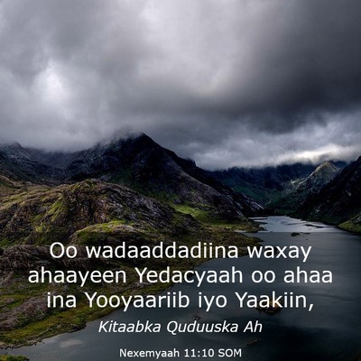 Picture 03 - Nexemyaah 11:10 SOM - Oo wadaaddadiina waxay ahaayeen Yedacyaah oo ahaa - Bible Verse Picture