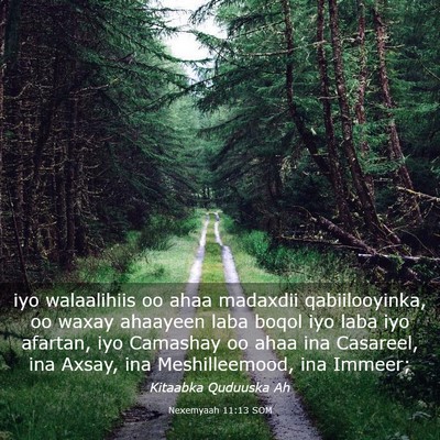 Picture 03 - Nexemyaah 11:13 SOM - iyo walaalihiis oo ahaa madaxdii qabiilooyinka, - Bible Verse Picture