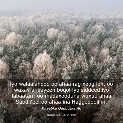 Picture 03 - Nexemyaah 11:14 SOM - iyo walaalahood oo ahaa rag xoog leh, oo waxay - Bible Verse Picture