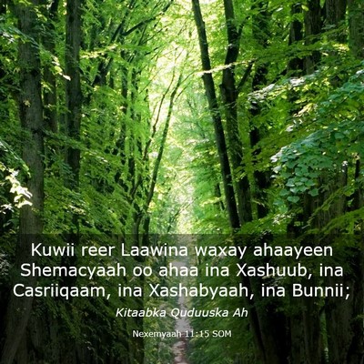 Picture 03 - Nexemyaah 11:15 SOM - Kuwii reer Laawina waxay ahaayeen Shemacyaah oo - Bible Verse Picture