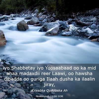Picture 03 - Nexemyaah 11:16 SOM - iyo Shabbetay iyo Yoosaabaad oo ka mid ahaa - Bible Verse Picture