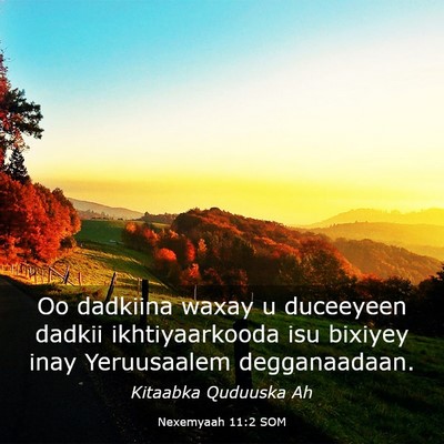 Picture 03 - Nexemyaah 11:2 SOM - Oo dadkiina waxay u duceeyeen dadkii - Bible Verse Picture