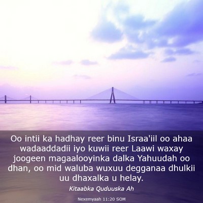 Picture 03 - Nexemyaah 11:20 SOM - Oo intii ka hadhay reer binu Israa'iil oo ahaa - Bible Verse Picture