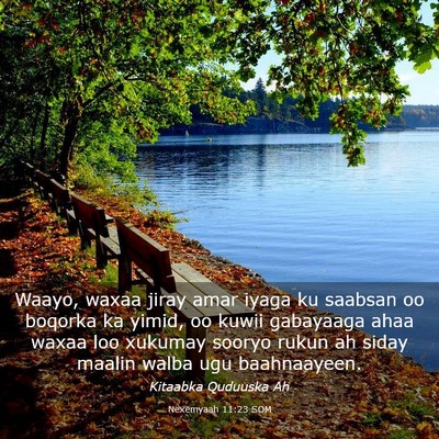 Picture 03 - Nexemyaah 11:23 SOM - Waayo, waxaa jiray amar iyaga ku saabsan oo - Bible Verse Picture