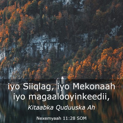Picture 03 - Nexemyaah 11:28 SOM - iyo Siiqlag, iyo Mekonaah iyo - Bible Verse Picture