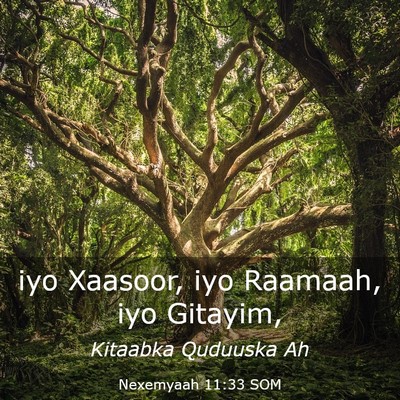 Picture 03 - Nexemyaah 11:33 SOM - iyo Xaasoor, iyo Raamaah, iyo - Bible Verse Picture