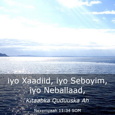 Picture 03 - Nexemyaah 11:34 SOM - iyo Xaadiid, iyo Seboyim, iyo - Bible Verse Picture