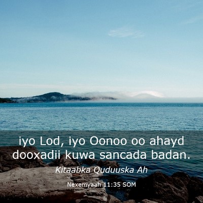 Picture 03 - Nexemyaah 11:35 SOM - iyo Lod, iyo Oonoo oo ahayd dooxadii kuwa sancada - Bible Verse Picture