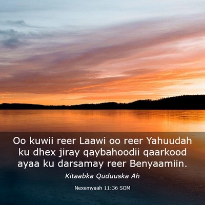 Picture 03 - Nexemyaah 11:36 SOM - Oo kuwii reer Laawi oo reer Yahuudah ku dhex - Bible Verse Picture
