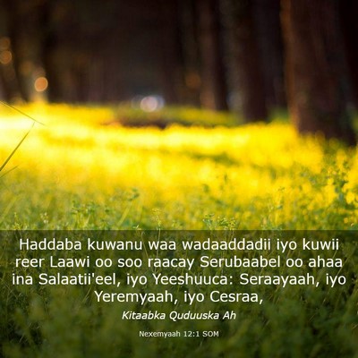 Picture 03 - Nexemyaah 12:1 SOM - Haddaba kuwanu waa wadaaddadii iyo kuwii reer - Bible Verse Picture