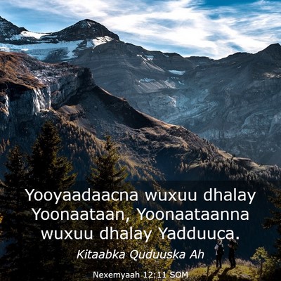Picture 03 - Nexemyaah 12:11 SOM - Yooyaadaacna wuxuu dhalay Yoonaataan, - Bible Verse Picture