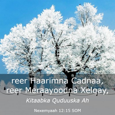 Picture 03 - Nexemyaah 12:15 SOM - reer Haarimna Cadnaa, reer Meraayoodna - Bible Verse Picture