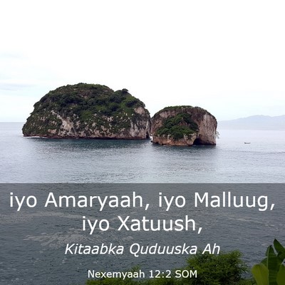 Picture 03 - Nexemyaah 12:2 SOM - iyo Amaryaah, iyo Malluug, iyo - Bible Verse Picture