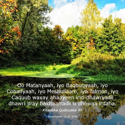 Picture 03 - Nexemyaah 12:25 SOM - Oo Matanyaah, iyo Baqbuqyaah, iyo Cobadyaah, iyo - Bible Verse Picture