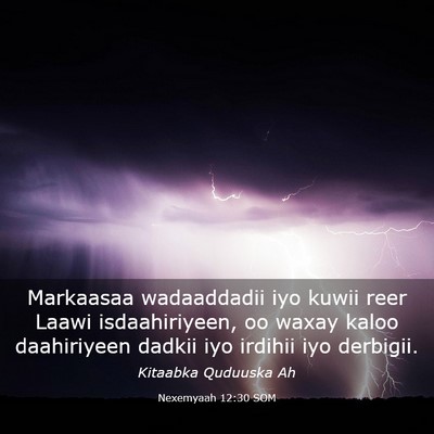 Picture 03 - Nexemyaah 12:30 SOM - Markaasaa wadaaddadii iyo kuwii reer Laawi - Bible Verse Picture