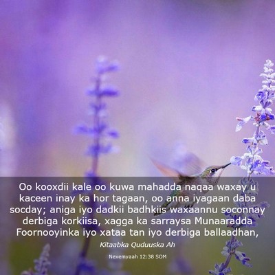 Picture 03 - Nexemyaah 12:38 SOM - Oo kooxdii kale oo kuwa mahadda naqaa waxay u - Bible Verse Picture