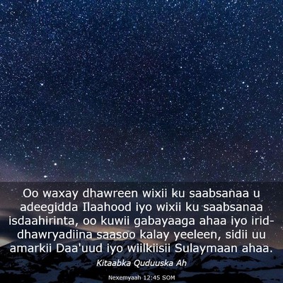 Picture 03 - Nexemyaah 12:45 SOM - Oo waxay dhawreen wixii ku saabsanaa u adeegidda - Bible Verse Picture