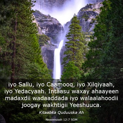 Picture 03 - Nexemyaah 12:7 SOM - iyo Sallu, iyo Caamooq, iyo Xilqiyaah, iyo - Bible Verse Picture