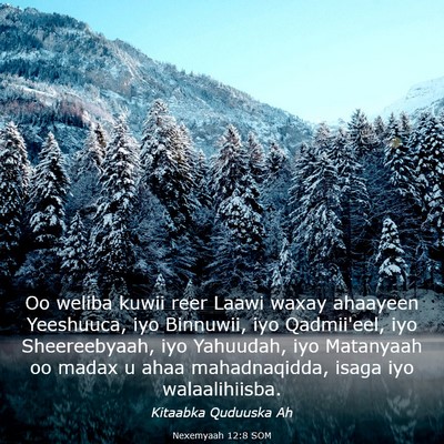 Picture 03 - Nexemyaah 12:8 SOM - Oo weliba kuwii reer Laawi waxay ahaayeen - Bible Verse Picture