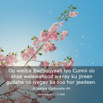 Picture 03 - Nexemyaah 12:9 SOM - Oo weliba Baqbuqyaah iyo Cunnii oo ahaa - Bible Verse Picture