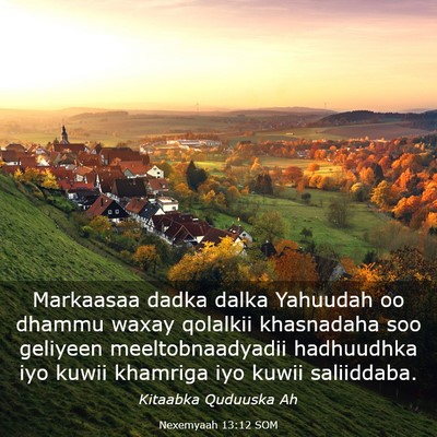 Picture 03 - Nexemyaah 13:12 SOM - Markaasaa dadka dalka Yahuudah oo dhammu waxay - Bible Verse Picture
