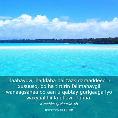 Picture 03 - Nexemyaah 13:14 SOM - Ilaahayow, haddaba bal taas daraaddeed ii - Bible Verse Picture