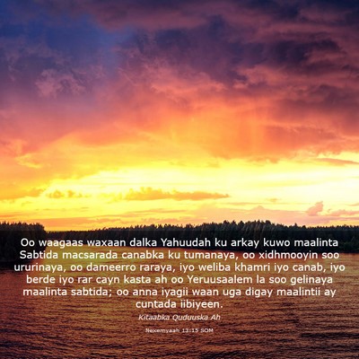 Picture 03 - Nexemyaah 13:15 SOM - Oo waagaas waxaan dalka Yahuudah ku arkay kuwo - Bible Verse Picture