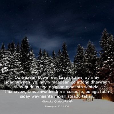 Picture 03 - Nexemyaah 13:22 SOM - Oo waxaan kuwii reer Laawi ku amray inay - Bible Verse Picture