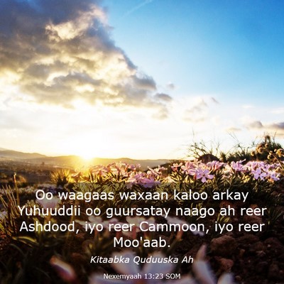 Picture 03 - Nexemyaah 13:23 SOM - Oo waagaas waxaan kaloo arkay Yuhuuddii oo - Bible Verse Picture